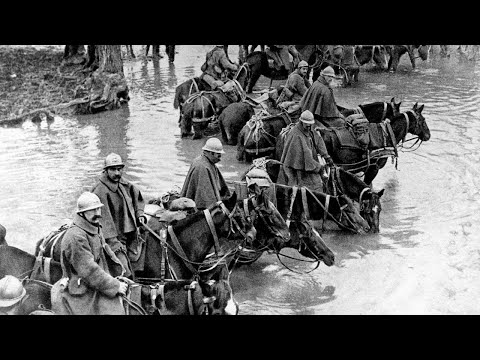 Documentary 2021 - The Battle Of Verdun | Best Documentaries