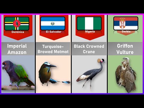 National Birds From Different Countries