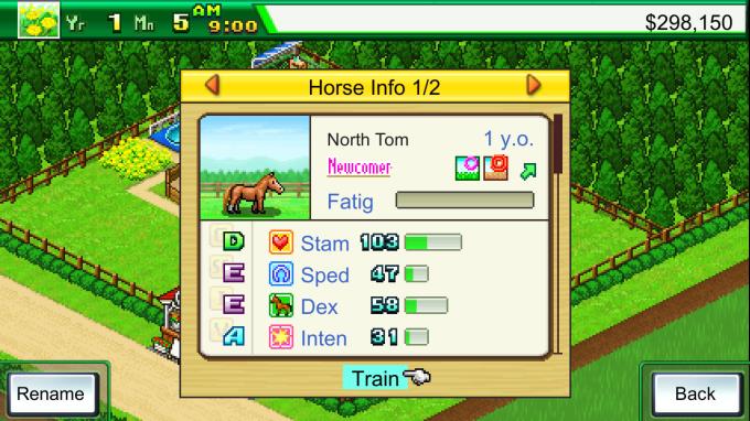 Pocket Stables PC Crack